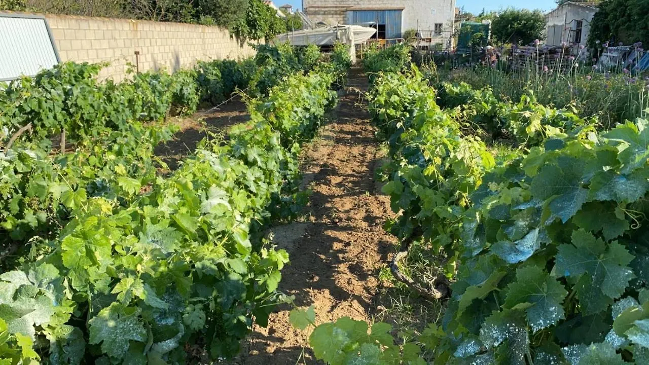 Farm stay Chiclana Mobile House - Piscina , Wi-Fi, Relax Villa Chiclana de la Frontera