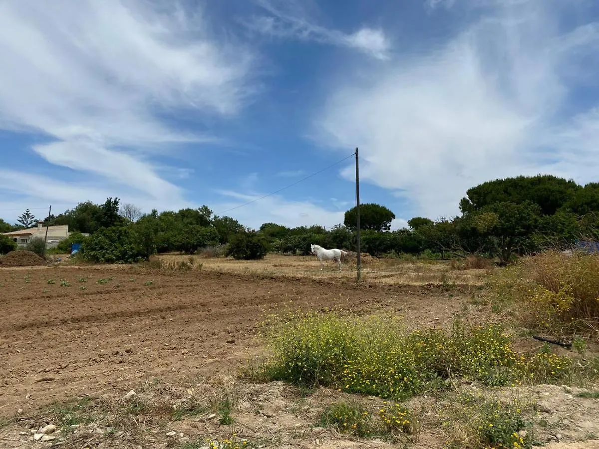 Farm stay Chiclana Mobile House - Piscina , Wi-Fi, Relax Villa Chiclana de la Frontera Spain